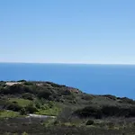 Acacias *