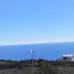 Acacias